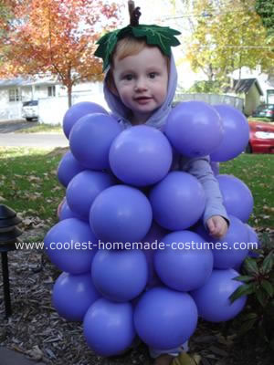 coolest-homemade-grapes-costume-4-21299132