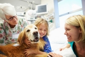 Pet Therapy: quando un cane ci aiuta a guarire