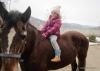 Bambina a cavallo